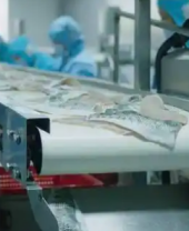 1b6ba889259a2357