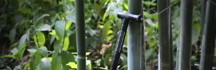 j9国际站(中国)集团-官网直营